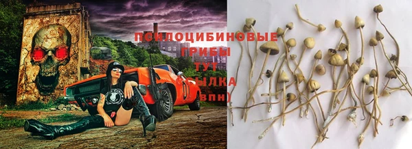 ECSTASY Алексин