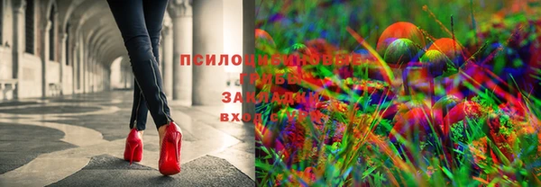 ECSTASY Алексин