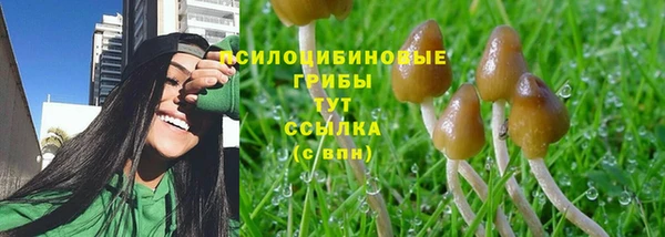 соль курить ск Абаза